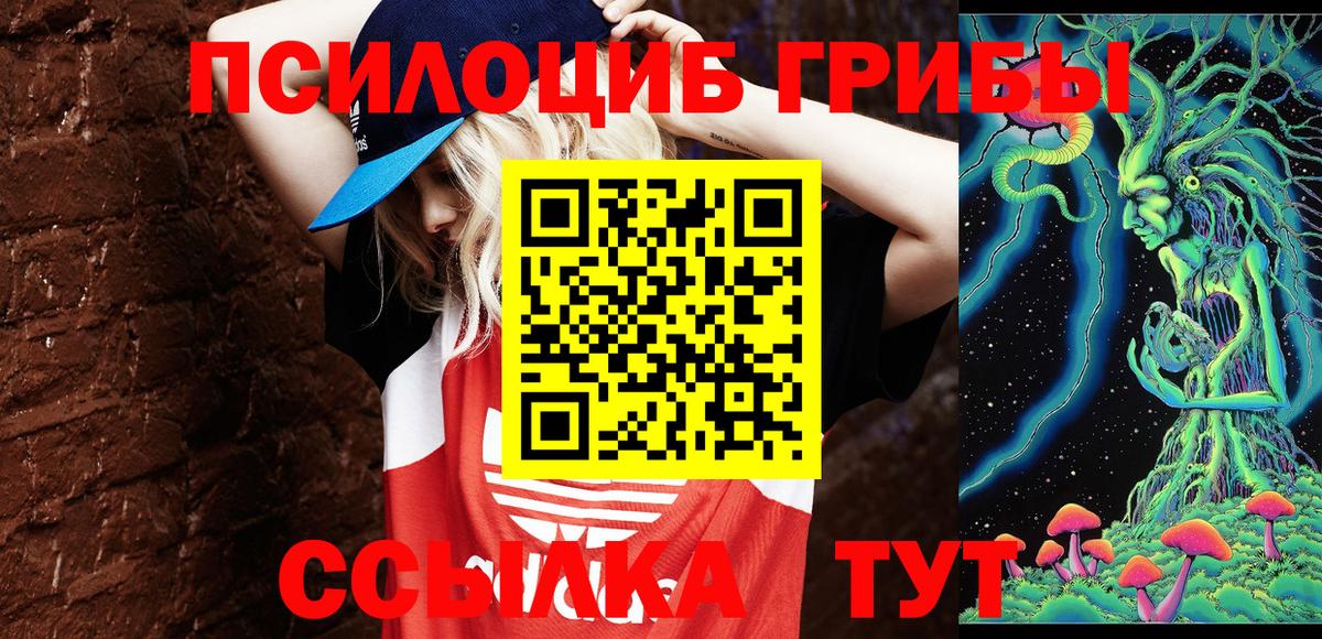 Галлюциногенные грибы прущие грибы Асино