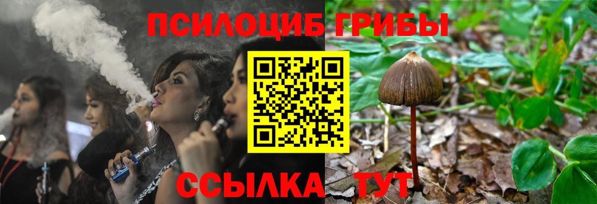 Асино  Псилоцибиновые грибы GOLDEN TEACHER  Вход с VPN  Псилоцибиновые грибы GOLDEN TEACHER 